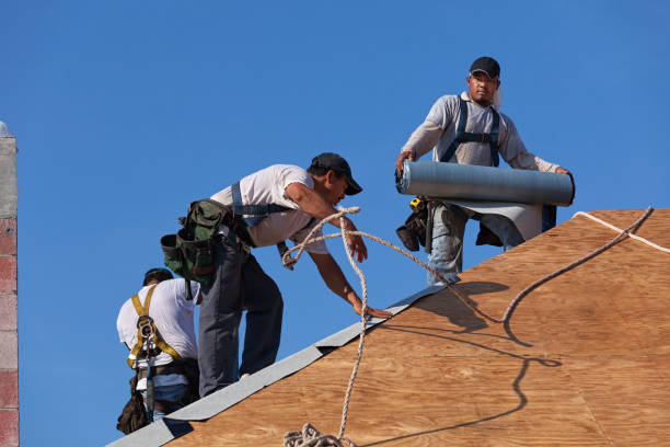 Best Flat Roof Repair Services  in Galena, IL